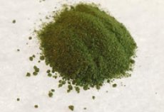 画像3: 【特約店様専用】いむの村の青汁 30包 (3)