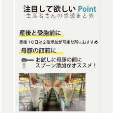 画像6: 美腸サポート  10kg  (6)