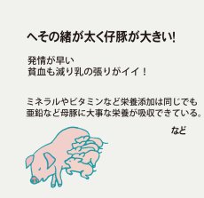 画像7: 美腸サポート  10kg  (7)