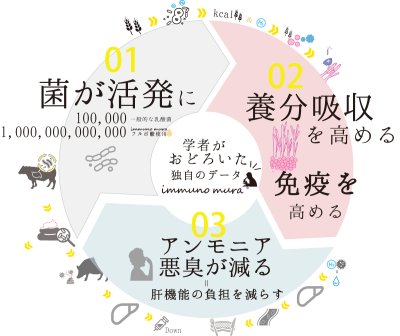 画像1: 美腸サポート 10kg